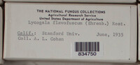 Image Associated With the Occurence